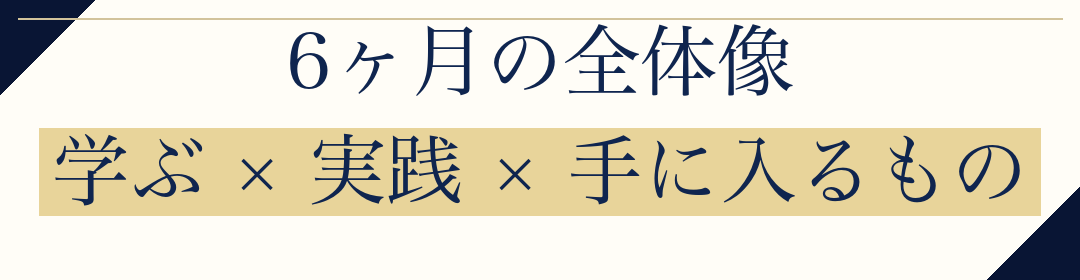 6ヶ月の全体像
学ぶ × 実践 × 手に入るもの